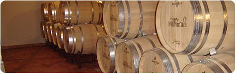 Viña Placentina, vinos de agricultura ecológica, vino ecológico de Extremadura, enoturismo y cursos de cata, tienda de vino online